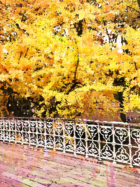Central Park Fall Colors by Haley Marie