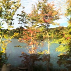 Reflections