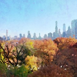 Sun Over Central Park