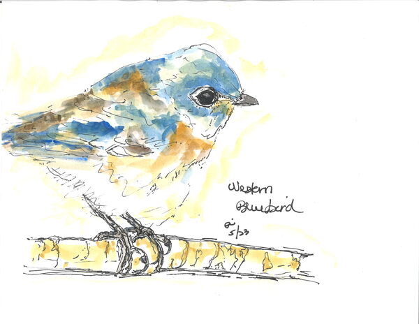 1389 017 by Surreal and Quiet