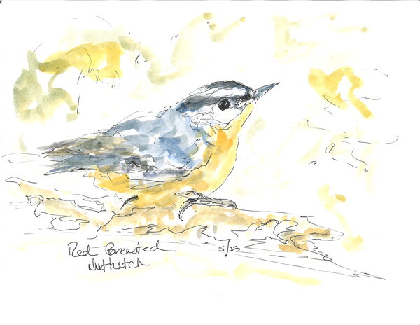 1389 018 by Surreal and Quiet