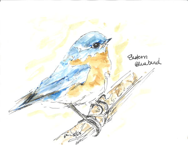 1389 019 by Surreal and Quiet