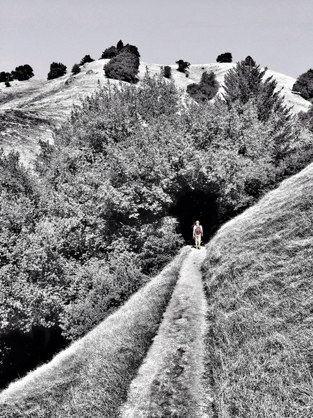 15 enter by Surreal and Quiet