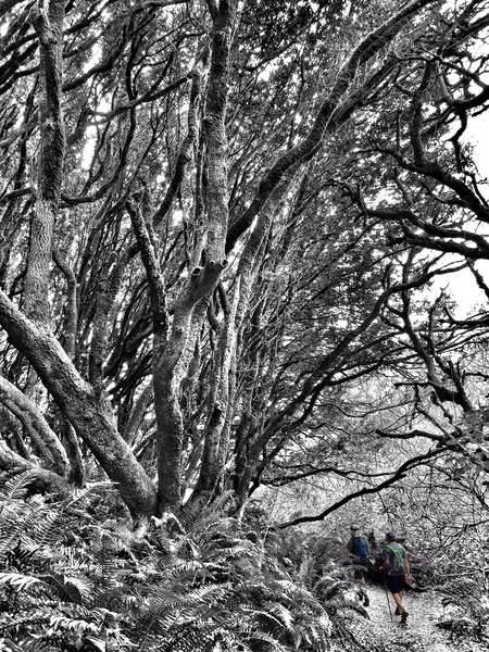 8 get lost by Surreal and Quiet