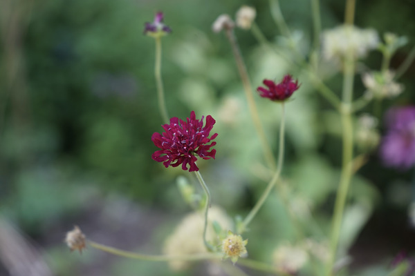 DSC00460 by Surreal and Quiet