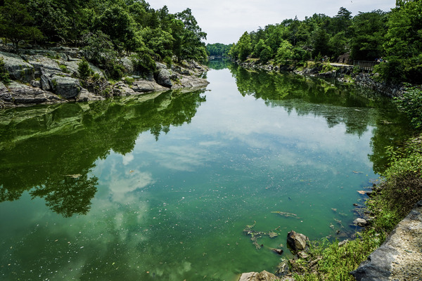 DSC00889 4 by Surreal and Quiet