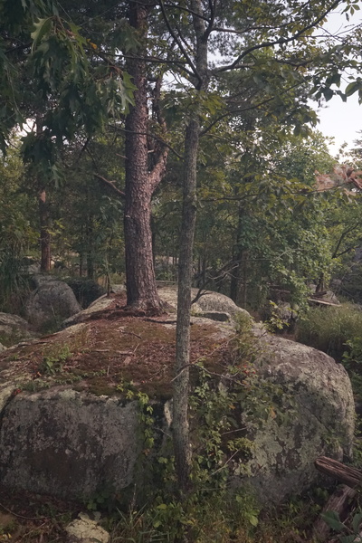 IMG 3255 3 by Surreal and Quiet