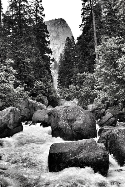 Snapseed 12 by Surreal and Quiet