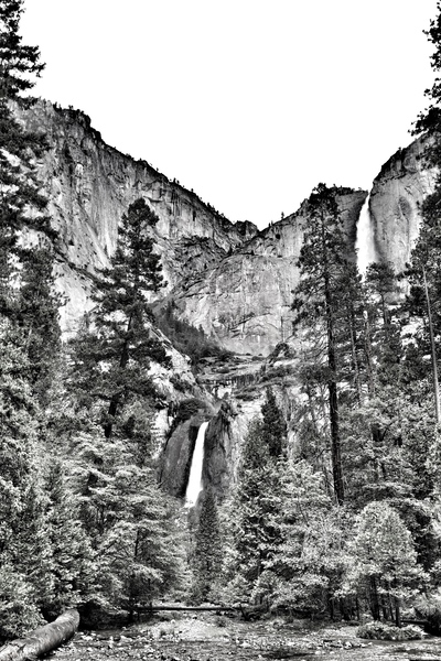 Snapseed 4 by Surreal and Quiet