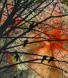 Crows Dream In Flowers of Orange