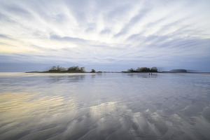 Walking In The Light - Tripping On The Rays