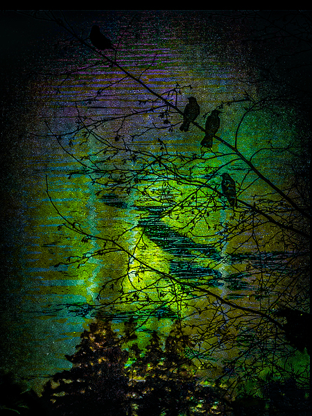 Twilight  by Devorah Reeves Photography