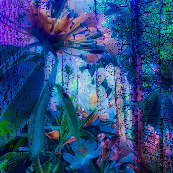Into The Mystic Blue  by Devorah Reeves Photography