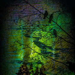 Twilight 