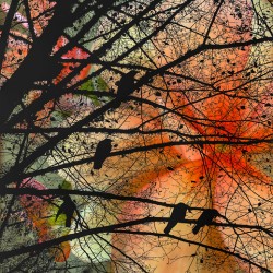 Crows Dream In Flowers of Orange