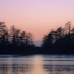 The Suns Kiss To The Night