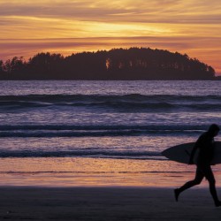 Surfer At Sunset 