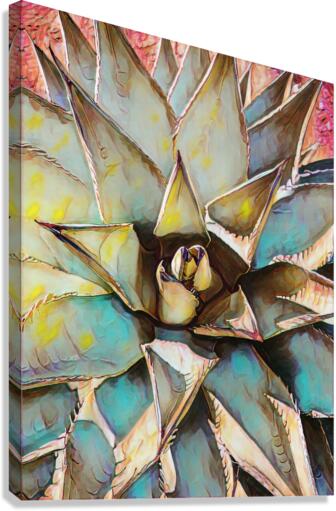 bold agave Canvas Print