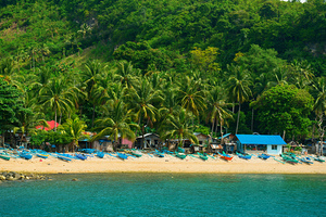 Blue Whispers of the Tropic Shore