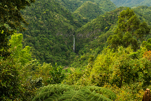 Emerald Veil of Negros
