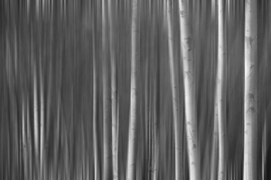 Somewhere Along the Road