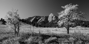 Boulder Colorado in Black and White