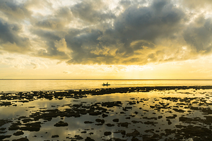 Golden Waters Carry the Morning Light