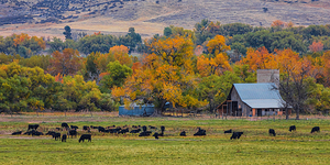 Just A Pretty Country Landscape