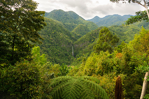 Whispers of the Malantan og Waterfall Hidden in Time