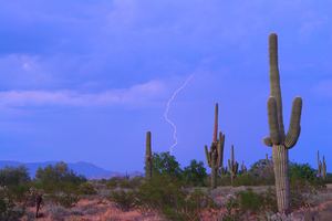 Southwest Sonoran Desert Lightning Strike