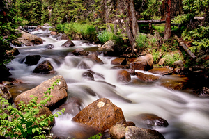 Cascading Rocky Mountain Forest Creek