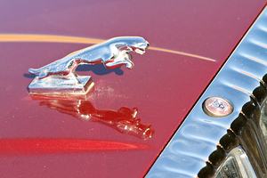 Jaguar Hood Ornamen and Emblem