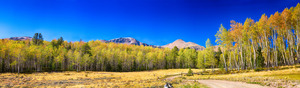 Panorama Autumn Bonanza