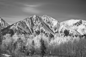 Rocky Mountain Autumn High In Black and White