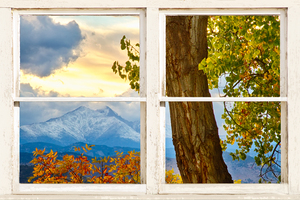 Rocky Mountain Autumn Season Rustic Window
