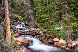 Rocky Mountains Stream Scenic Landscape