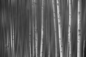 Somewhere Along the Road Dreaming Black and White