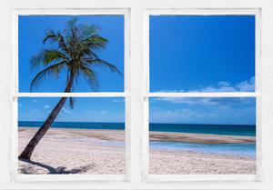 Tropical Paradise Whitewash Window View
