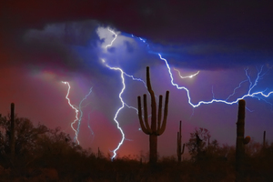 Saguaro Lightning Storm