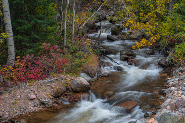 Color Streaming by Bo Insogna