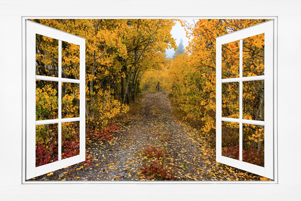 Colorful Trees Down the Drive White Open Window by Bo Insogna