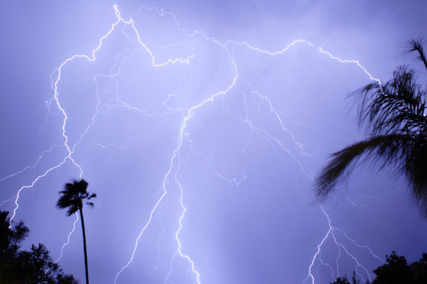 Tropical Storm Print