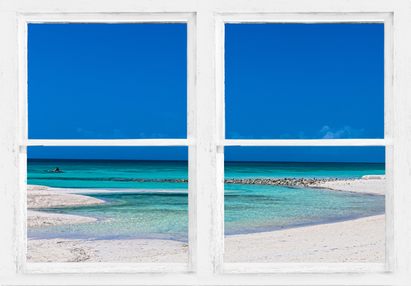 Tropical Blue Ocean Window View by Bo Insogna