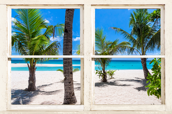 Tropical Island Rustic Window View by Bo Insogna