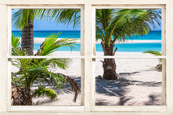 Tropical Paradise Rustic White Window View by Bo Insogna