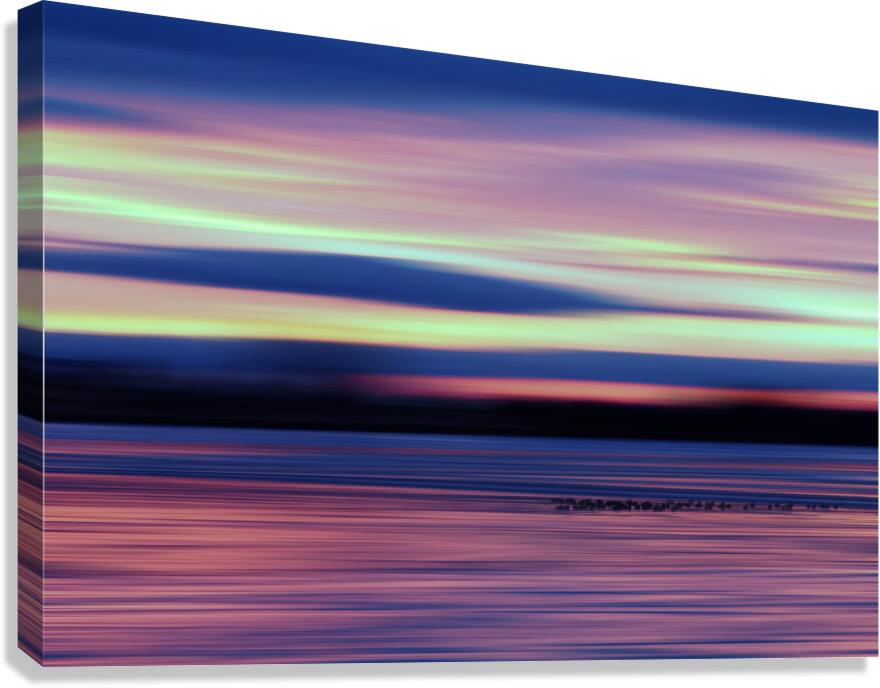 Good Morning Geese Canvas Print