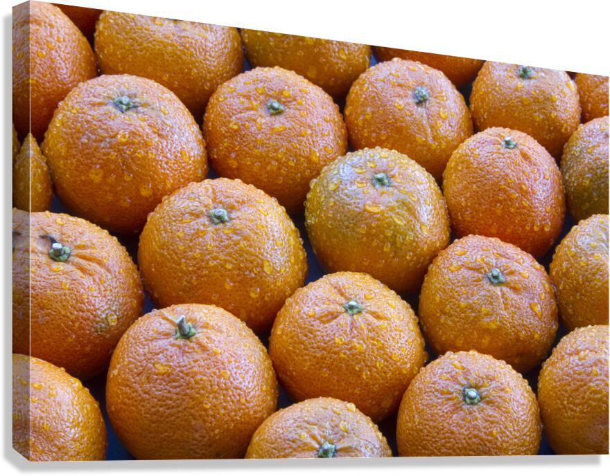 Oranges Canvas Print