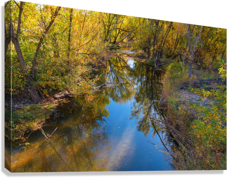 Reflections Time Canvas Print