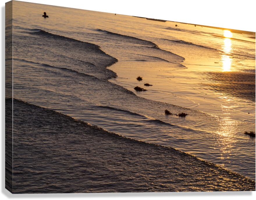 Golden Tide Canvas Print
