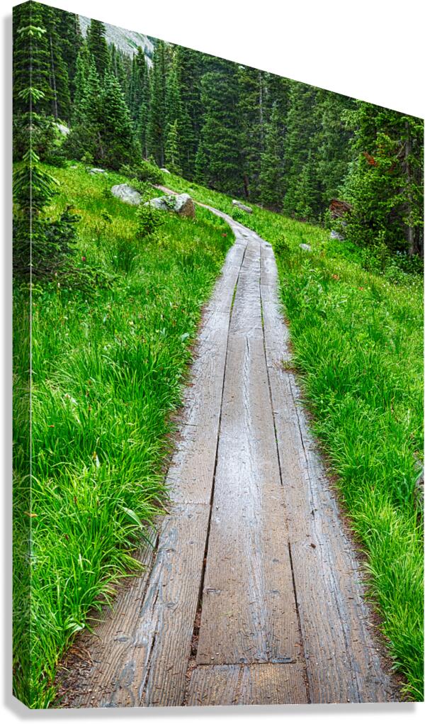 Wooden Forest Path Canvas Print